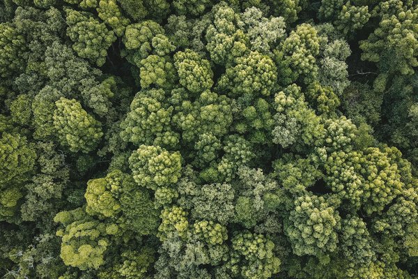 Réchauffement climatique : 5 enjeux cruciaux à surmonter